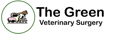 The Green Veterinary Surgery